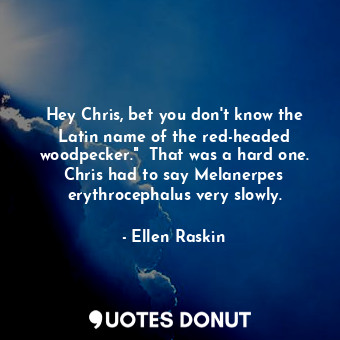  Hey Chris, bet you don't know the Latin name of the red-headed woodpecker."  Tha... - Ellen Raskin - Quotes Donut
