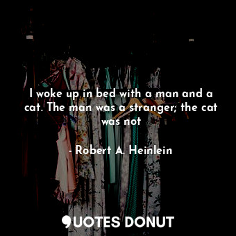 I woke up in bed with a man and a cat. The man was a stranger; the cat was not