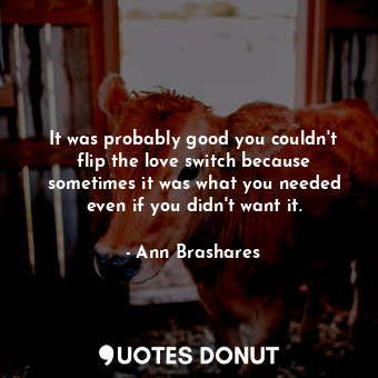  It was probably good you couldn't flip the love switch because sometimes it was ... - Ann Brashares - Quotes Donut