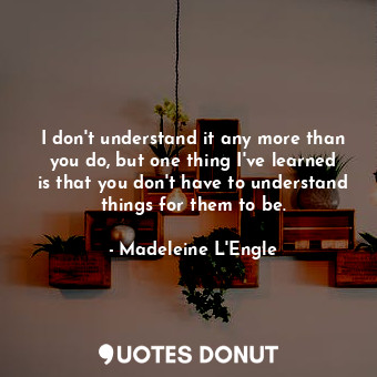 I don't understand it any more than you do, but one thing I've learned is that you don't have to understand things for them to be.