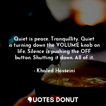 Quiet is peace. Tranquillity. Quiet is turning down the VOLUME knob on life. Silence is pushing the OFF button. Shutting it down. All of it.