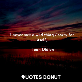  I never saw a wild thing / sorry for itself,... - Joan Didion - Quotes Donut