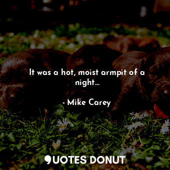  It was a hot, moist armpit of a night...... - Mike Carey - Quotes Donut