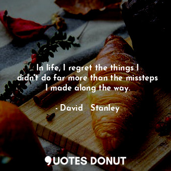  In life, I regret the things I didn't do far more than the missteps I made along... - David   Stanley - Quotes Donut