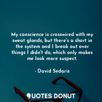 My conscience is crosswired with my sweat glands, but there's a short in the system and I break out over things I didn't do, which only makes me look more suspect.