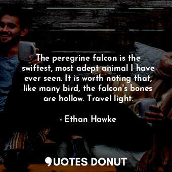  The peregrine falcon is the swiftest, most adept animal I have ever seen. It is ... - Ethan Hawke - Quotes Donut