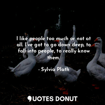  I like people too much or not at all. I've got to go down deep, to fall into peo... - Sylvia Plath - Quotes Donut