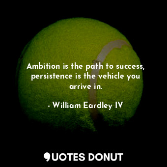 Ambition is the path to success, persistence is the vehicle you arrive in.