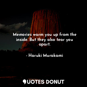 Memories warm you up from the inside. But they also tear you apart.