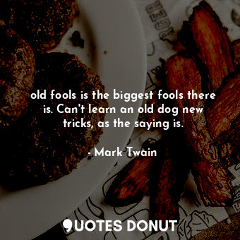old fools is the biggest fools there is. Can't learn an old dog new tricks, as the saying is.