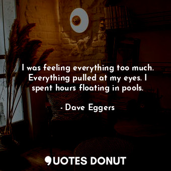  I was feeling everything too much. Everything pulled at my eyes. I spent hours f... - Dave Eggers - Quotes Donut