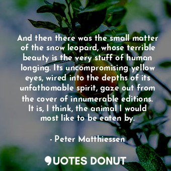 And then there was the small matter of the snow leopard, whose terrible beauty i... - Peter Matthiessen - Quotes Donut