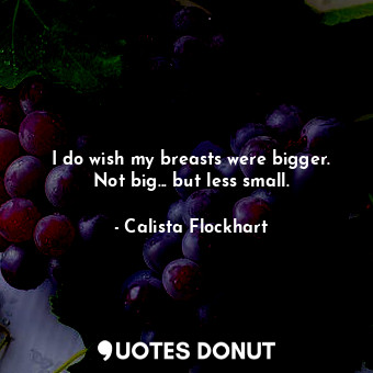  I do wish my breasts were bigger. Not big... but less small.... - Calista Flockhart - Quotes Donut