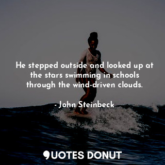 He stepped outside and looked up at the stars swimming in schools through the wind-driven clouds.