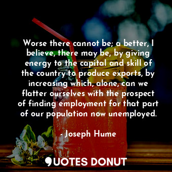 Worse there cannot be; a better, I believe, there may be, by giving energy to the capital and skill of the country to produce exports, by increasing which, alone, can we flatter ourselves with the prospect of finding employment for that part of our population now unemployed.