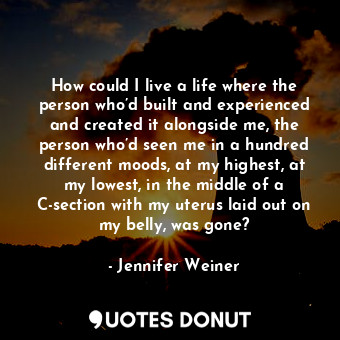  How could I live a life where the person who’d built and experienced and created... - Jennifer Weiner - Quotes Donut