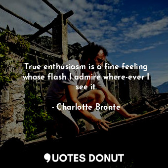 True enthusiasm is a fine feeling whose flash I admire where-ever I see it.