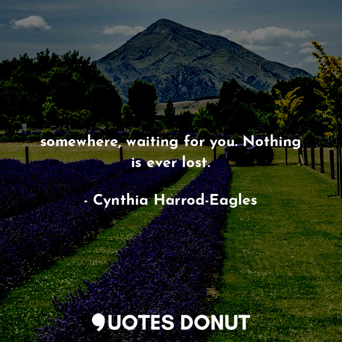  somewhere, waiting for you. Nothing is ever lost.... - Cynthia Harrod-Eagles - Quotes Donut