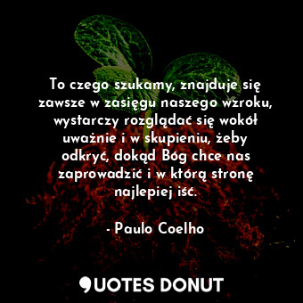 To czego szukamy, znajduje się zawsze w zasięgu naszego wzroku, wystarczy rozglądać się wokół uważnie i w skupieniu, żeby odkryć, dokąd Bóg chce nas zaprowadzić i w którą stronę najlepiej iść.