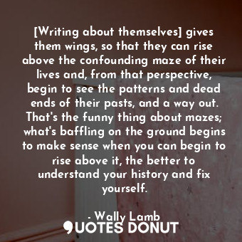 [Writing about themselves] gives them wings, so that they can rise above the confounding maze of their lives and, from that perspective, begin to see the patterns and dead ends of their pasts, and a way out. That's the funny thing about mazes; what's baffling on the ground begins to make sense when you can begin to rise above it, the better to understand your history and fix yourself.