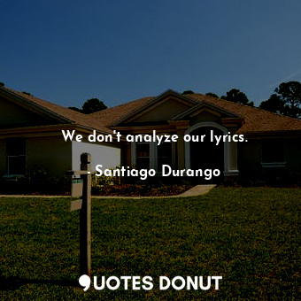 We don&#39;t analyze our lyrics.