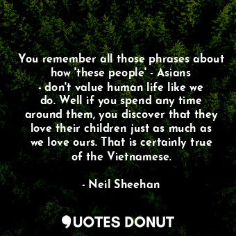  You remember all those phrases about how &#39;these people&#39; - Asians - don&#... - Neil Sheehan - Quotes Donut