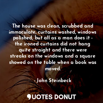 The house was clean, scrubbed and immaculate, curtains washed, windows polished, but all as a man does it - the ironed curtains did not hang quite straight and there were streaks on the windows and a square showed on the table when a book was moved.