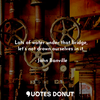  Lots of water under that bridge, let’s not drown ourselves in it.... - John Banville - Quotes Donut