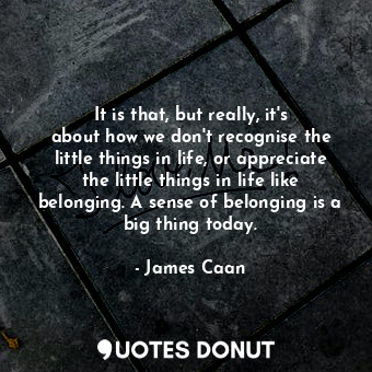  It is that, but really, it&#39;s about how we don&#39;t recognise the little thi... - James Caan - Quotes Donut