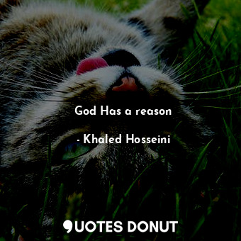  God Has a reason... - Khaled Hosseini - Quotes Donut