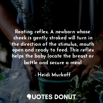  Rooting reflex. A newborn whose cheek is gently stroked will turn in the directi... - Heidi Murkoff - Quotes Donut