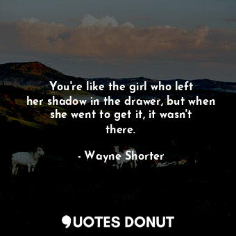 You&#39;re like the girl who left her shadow in the drawer, but when she went to get it, it wasn&#39;t there.