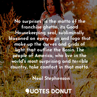 No surprises” is the motto of the franchise ghetto, its Good Housekeeping seal, subliminally blazoned on every sign and logo that make up the curves and grids of light that outline the Basin. The people of America, who live in the world's most surprising and terrible country, take comfort in that motto.