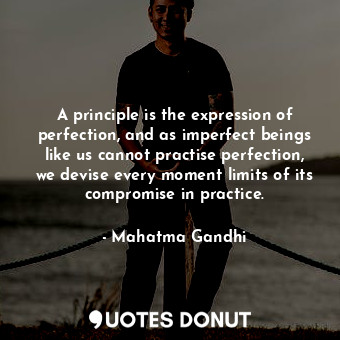 A principle is the expression of perfection, and as imperfect beings like us cannot practise perfection, we devise every moment limits of its compromise in practice.