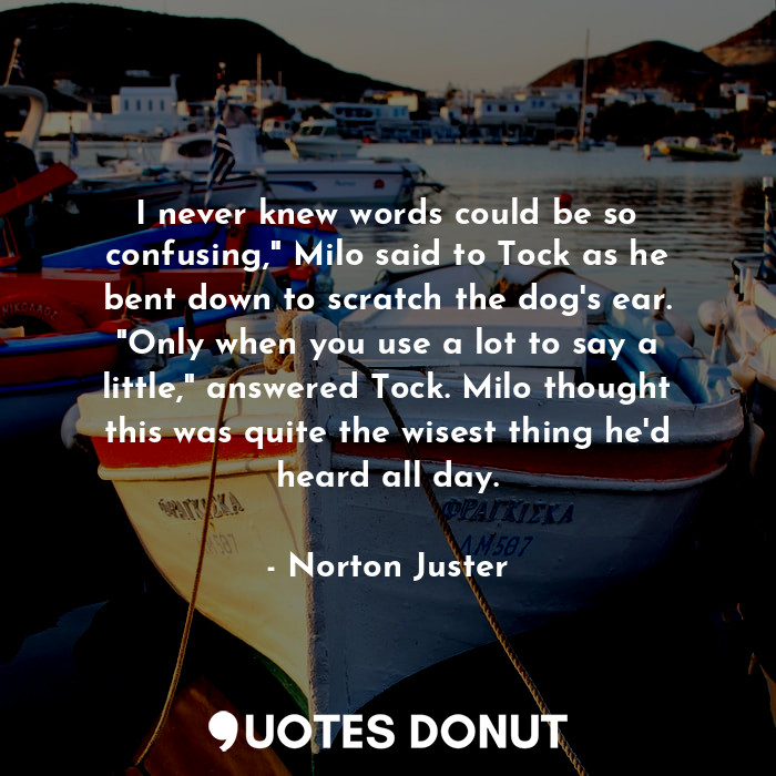 I never knew words could be so confusing," Milo said to Tock as he bent down to scratch the dog's ear. "Only when you use a lot to say a little," answered Tock. Milo thought this was quite the wisest thing he'd heard all day.