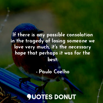  If there is any possible consolation in the tragedy of losing someone we love ve... - Paulo Coelho - Quotes Donut