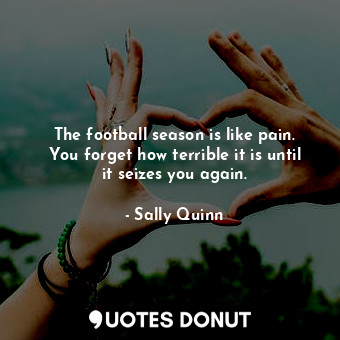 The football season is like pain. You forget how terrible it is until it seizes you again.