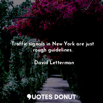  Traffic signals in New York are just rough guidelines.... - David Letterman - Quotes Donut