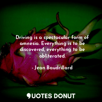 Driving is a spectacular form of amnesia. Everything is to be discovered, everything to be obliterated.