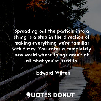  Spreading out the particle into a string is a step in the direction of making ev... - Edward Witten - Quotes Donut