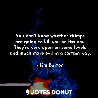 You don&#39;t know whether chimps are going to kill you or kiss you. They&#39;re very open on some levels and much more evil in a certain way.