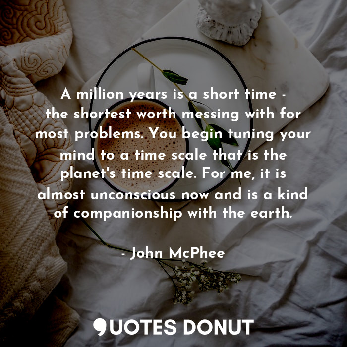 A million years is a short time - the shortest worth messing with for most problems. You begin tuning your mind to a time scale that is the planet's time scale. For me, it is almost unconscious now and is a kind of companionship with the earth.