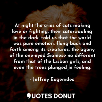 At night the cries of cats making love or fighting, their caterwauling in the dark, told us that the world was pure emotion, flung back and forth among its creatures, the agony of the one-eyed Siamese no different from that of the Lisbon girls, and even the trees plunged in feeling.