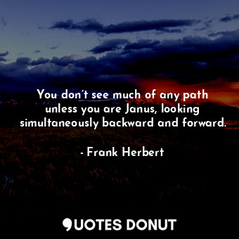 You don’t see much of any path unless you are Janus, looking simultaneously backward and forward.