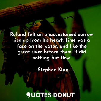 Roland felt an unaccustomed sorrow rise up from his heart. Time was a face on the water, and like the great river before them, it did nothing but flow.