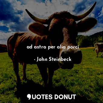  ad astra per alia porci... - John Steinbeck - Quotes Donut