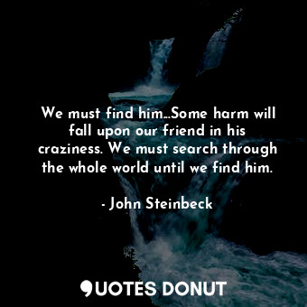 We must find him...Some harm will fall upon our friend in his craziness. We must search through the whole world until we find him.