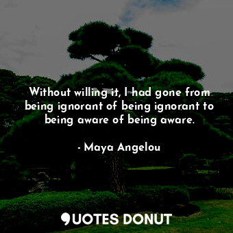 Without willing it, I had gone from being ignorant of being ignorant to being aware of being aware.