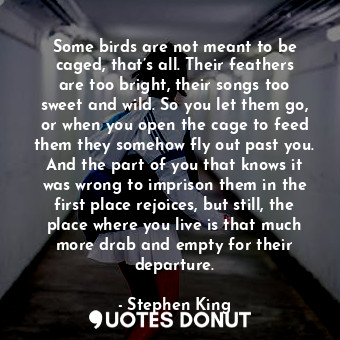 Some birds are not meant to be caged, that’s all. Their feathers are too bright, their songs too sweet and wild. So you let them go, or when you open the cage to feed them they somehow fly out past you. And the part of you that knows it was wrong to imprison them in the first place rejoices, but still, the place where you live is that much more drab and empty for their departure.