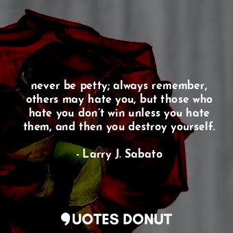  never be petty; always remember, others may hate you, but those who hate you don... - Larry J. Sabato - Quotes Donut